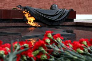 Более 1000 солдат, павших в Великой Отечественной войне, перезахоронили в Волгоградской области
