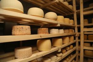 Астраханские производители осваивают уникальные виды сырной и молочной продукции