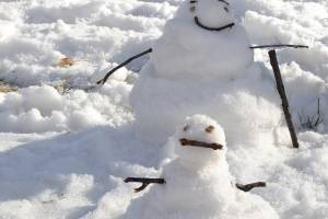 История одного астраханского снеговика и целой семьи