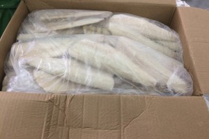 В Астраханской области организация хранила более 25 тонн судака без маркировки