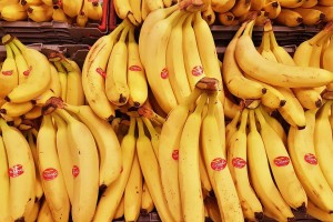 Бананы могут исчезнуть с российских прилавков из-за опасной болезни