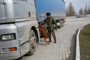 Пограничники не пропустили в Астраханскую область фуру с сухофруктами