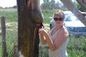 В Астраханской области рыбак выловил 90-килограммового речного монстра