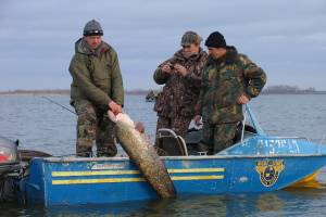 Рыболовные итоги Астраханской области 2017 года и прогноз на следующий судаковый год