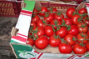 Из Казахстана в Астраханскую область попытались ввезти 1,5 тонны томатов с нарушениями