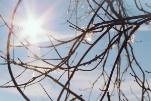 В воскресенье в Астраханской области ожидается морозная солнечная погода