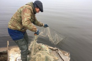 Житель Астраханской области задержан за незаконный вылов рыбы в зимовальной яме