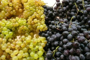 Астраханцев лишили свежего китайского винограда