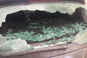 Астраханцы жалуются на ворон, которые бьют стёкла машин камнями