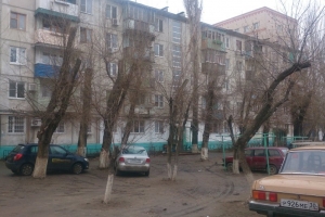 В Астрахани планируется опилить  и омолодить 57 тысяч деревьев