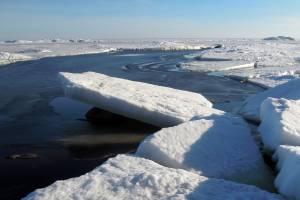 Сообщение о детях, дрейфующих на льдине в Астрахани, оказалось фейком