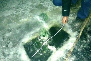 В Астраханской области за вылов рыбы сетью задержан житель Володарского района