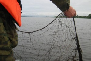 В Астраханской области браконьер из Воронежа ловил рыбу семью сетями