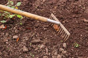 В Астраханской области главу КФХ наказали за испорченную почву