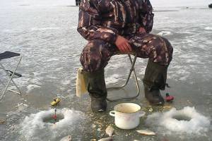 Несмотря на глухозимье, рыба может активизироваться к выходным в Астраханской области