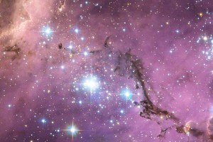 Российские учёные решили «разобраться» со странной звездой в созвездии Лебедя