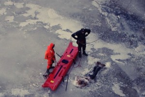 В Астрахани устанавливают личность мужчины, вмёрзшего в лёд на реке Кутум