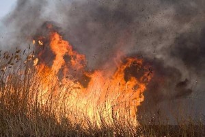 В Астрахани сгорела баня, машина и камыш с мусором