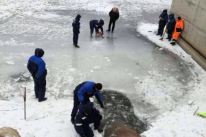 В Астрахани заработали насосные станции: выход на лёд опасен