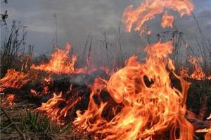 В Астраханской области ночью произошел крупный пожар