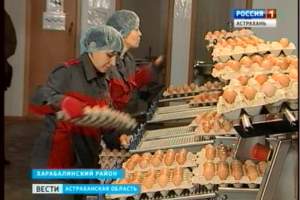 Цена за 10 яиц перевалила рубеж в 70 рублей. УФАС обвиняет производителей в сговоре