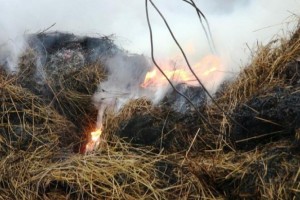 В Астраханской области сгорело более ста тонн сена и жилой дом