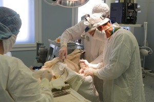 Новая операция на головном мозге проведена в Александро-Мариинской больнице