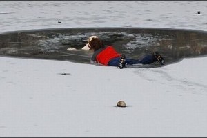 В Астраханской области 44-летняя женщина провалилась под лёд