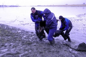 Спустя 2,5 месяца в Астраханской области обнаружено тело пропавшего рыбака
