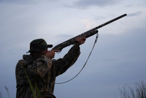 В Астраханской области завершился сезон охоты, охотники должны отчитаться