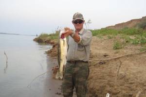 Астраханских рыбаков ограничат в вылове рыбы