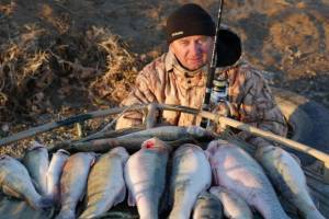 В марте рыба в Астраханской области ищет, где погреться