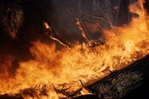 В Астраханской области начался пожароопасный сезон