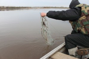 Четверо жителей Астраханской области задержаны за браконьерство