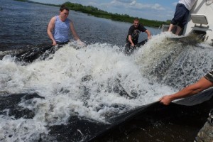 В Астрахани обсудят проект восстановления запасов водных биоресурсов Волги