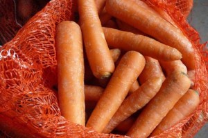 В Астраханскую область из Казахстана пытались ввезти 20 тонн моркови без маркировки