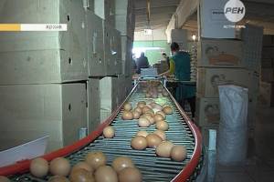 В Астрахани цена на яйца снова растет