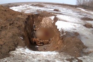 В Волгоградской области из-под снега проступили десятки трупов животных