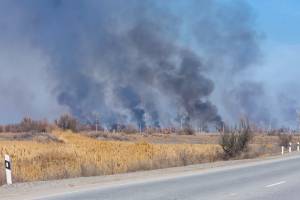 В последней день марта Астраханскую область охватили десятки тростниковых пожаров
