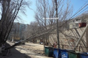 На улице Куликова дерево упало на провода