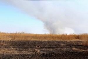 Губернатор поставил задачу: сократить число ландшафтных пожаров в Астраханской области вдвое