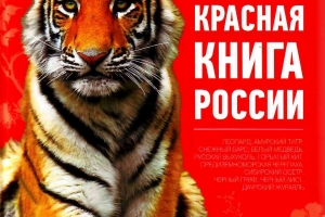 У жителей Астраханской области изъято мясо животного, занесённого в Красную книгу РФ
