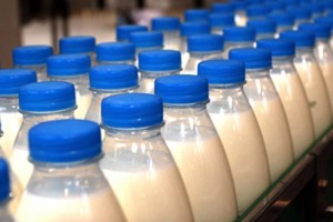 С начала года резко возросли поставки в Россию молока из Казахстана