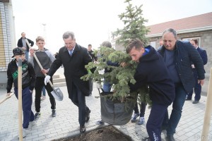 Члены областного правительства высадили полсотни деревьев возле храма в селе Образцово-Травино