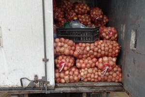 Астраханские пограничники не пропустили на столичные рынки почти 20 тонн овощей