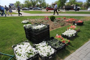 Весенний план Астрахани – высадить миллион цветов