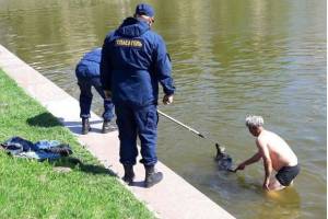 Астраханец искупался в Лебедином озере из-за собаки