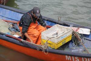 Астраханских рыбаков осудили за несвоевременный вылов селедки
