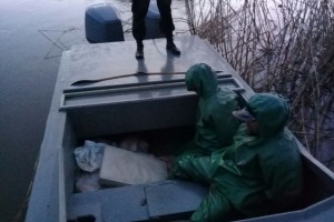 Жители Астраханской области придумали невероятную историю о снулых осетрах