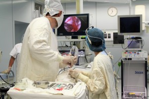 Хирурги Александро-Мариинской больницы освоили новый малоинвазивный метод лечения
